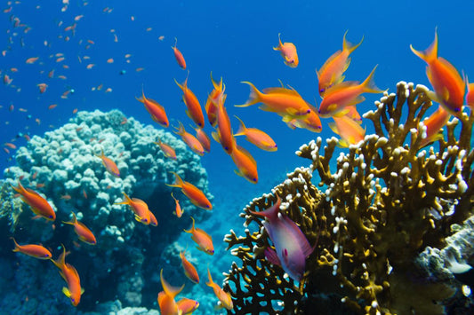 Mining for undersea diamonds – part 1