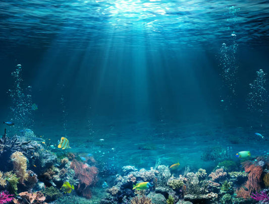 True Cost of Mined Diamonds for Marine Life