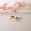 The Sissy Ring | Round Lab Diamond Petite Six Claw Engagement Solitaire