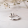 The Frankie Ring | Round Cut Lab Diamond Classic Slim Engagement Solitaire
