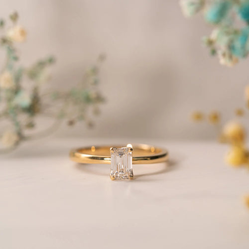 The India Ring