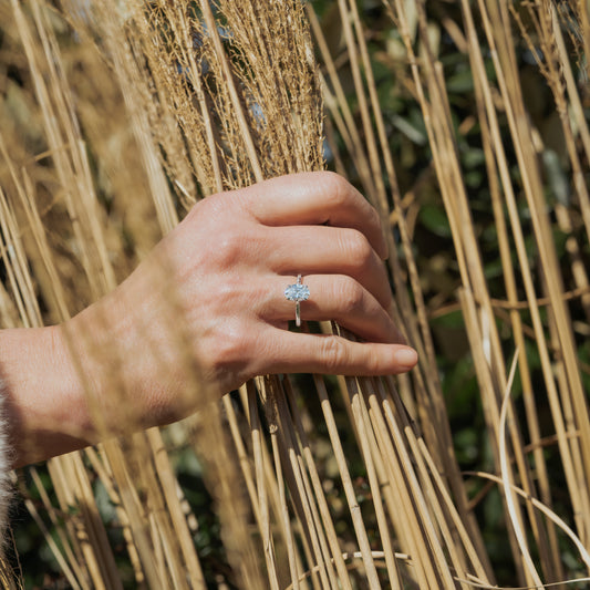 Hand wearing an oval cut lab grown diamond engagement ring against a natural background of reeds and greenery