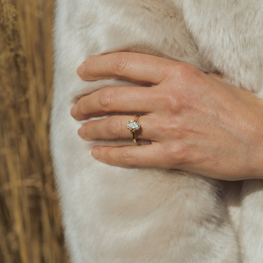 Hand wearing a diamond ring on a white animal's fur with a blurred natural background