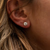 The Nessa Earrings | Round Lab Diamond Split Claw Studs 9k yellow gold