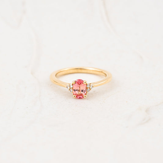 The Victoria - Coloured Diamond | Oval Cut Lab Diamond Accented Dainty Ring