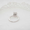 The Aesa Ring | 2.14ct D-E VVS1 Oval Shoulder Set Filament Band 18k White Gold