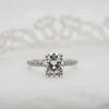 The Aesa Ring | 2.14ct D-E VVS1 Oval Shoulder Set Filament Band 18k White Gold